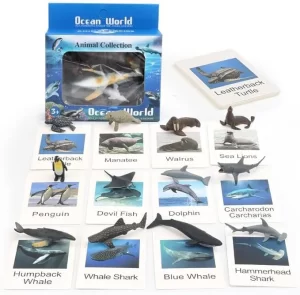 Montessori ocean animal matching game